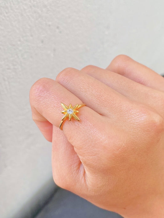 Anillo Vida