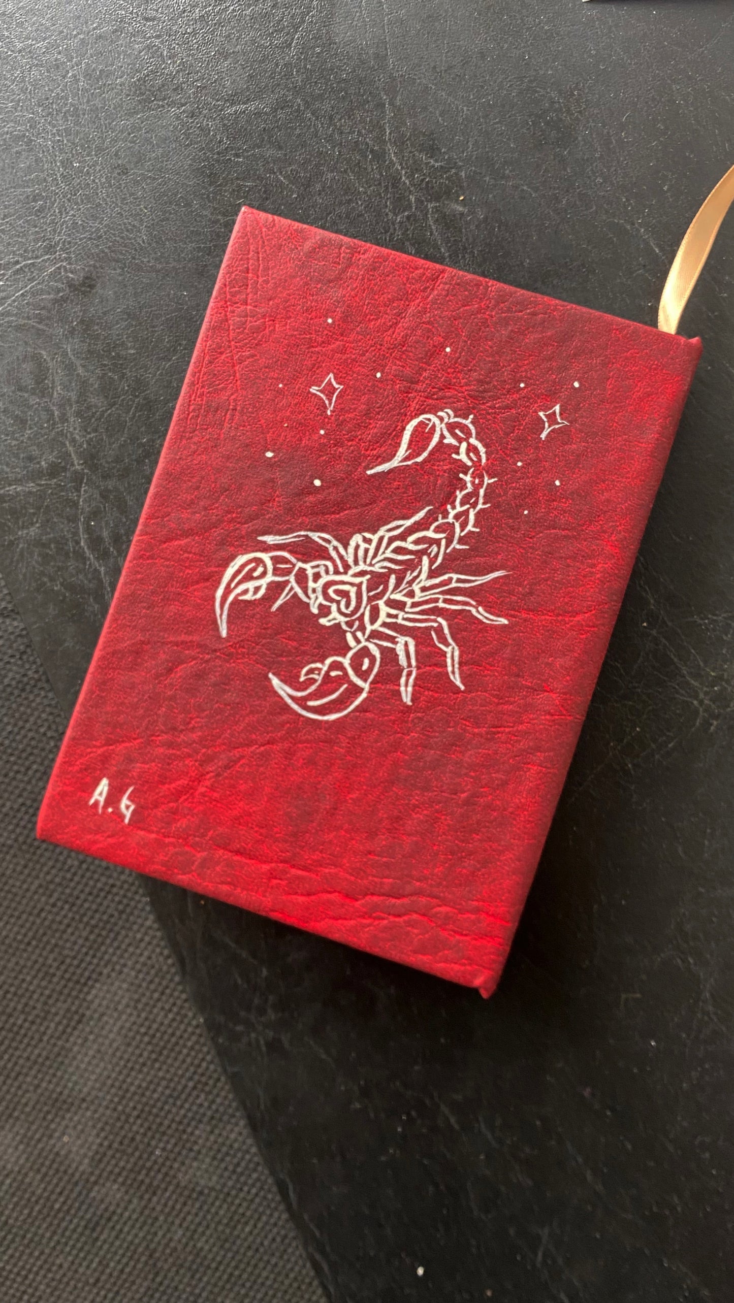 *kit fénix* pantalón+bitácora