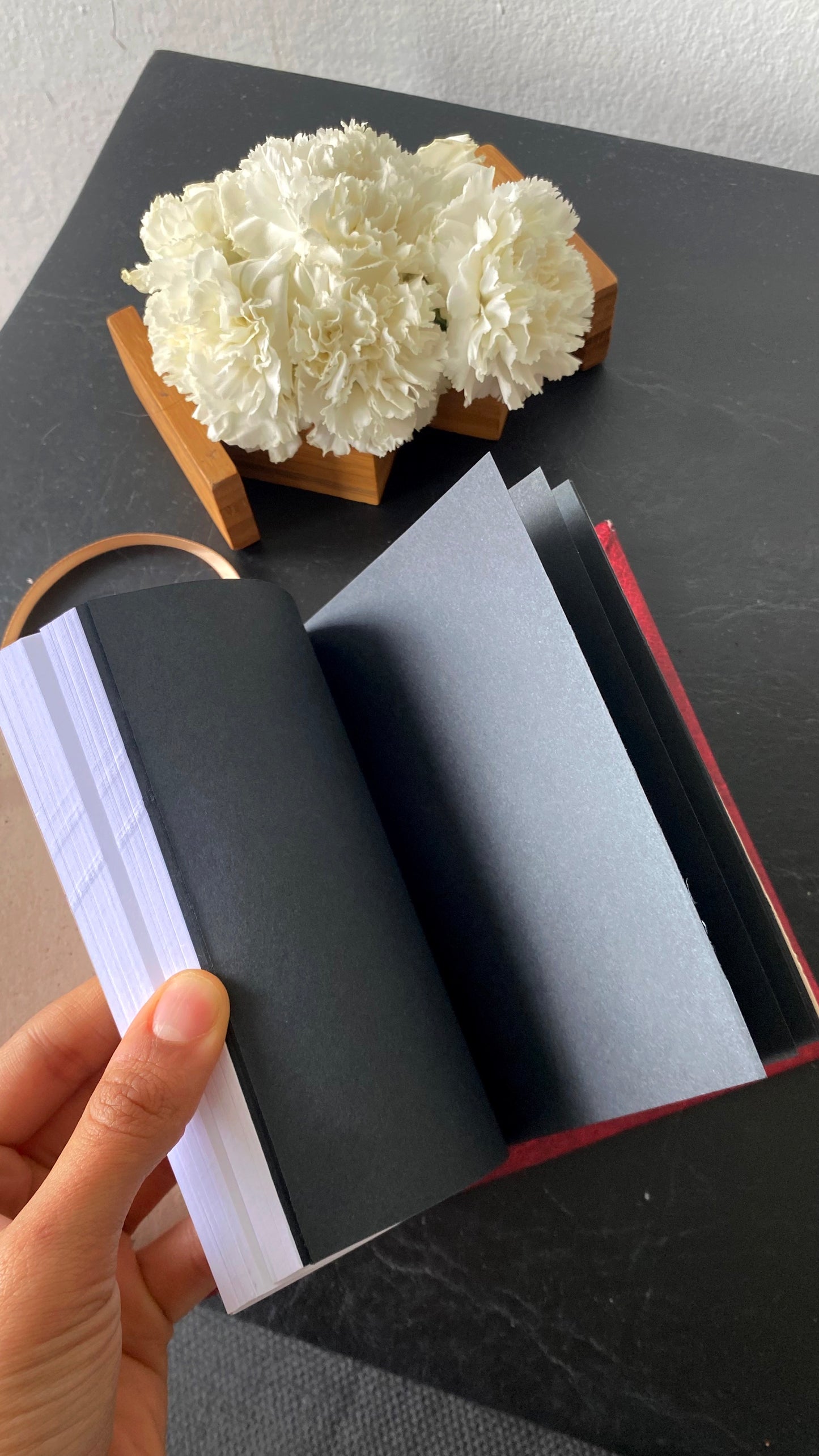 *kit fénix* pantalón+bitácora