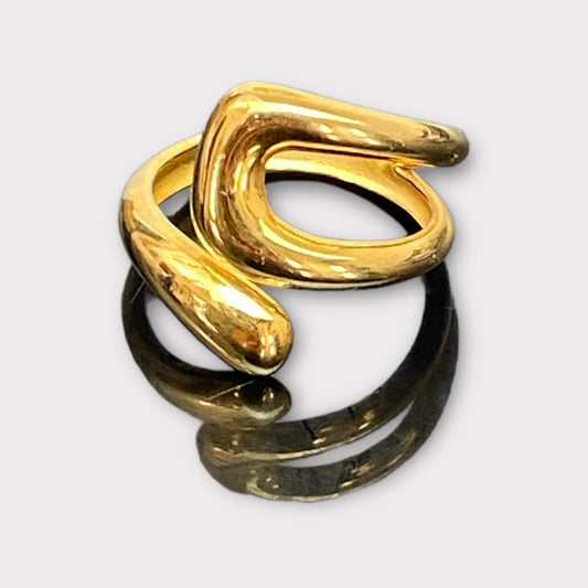 Anillo Cambio